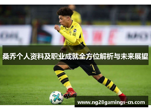 桑乔个人资料及职业成就全方位解析与未来展望